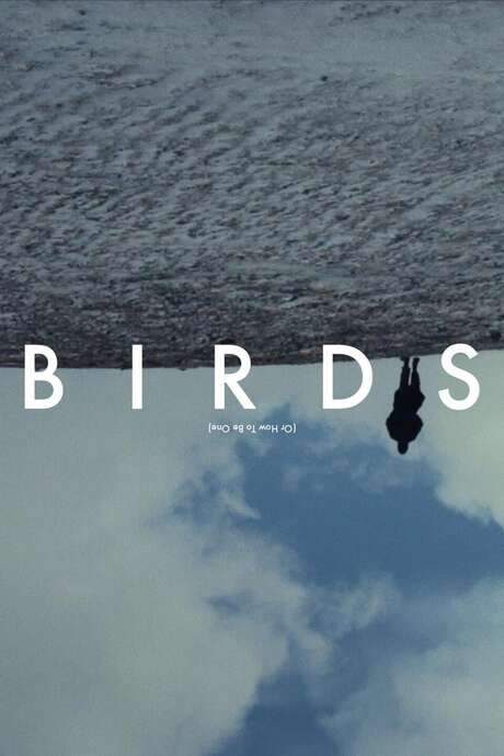 Birds (Or How to Be One) (2020) movie poster