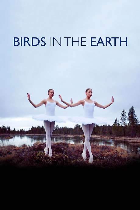 Birds in the Earth (2018) movie poster