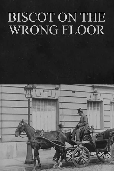 Biscot on the Wrong Floor (1916) movie poster