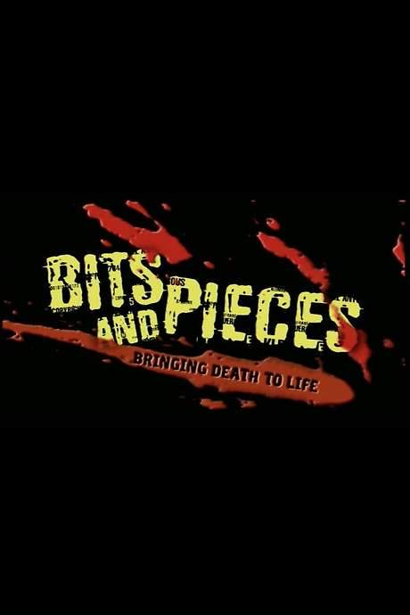 Bits and Pieces: Bringing Death to Life (2003) movie poster