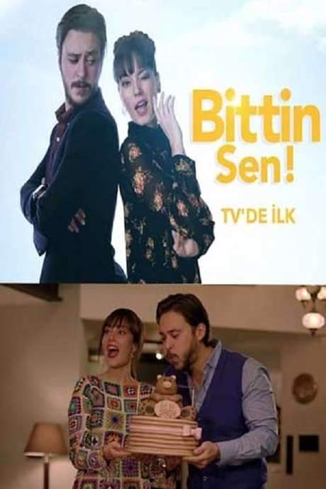 Bittin Sen (2017) movie poster