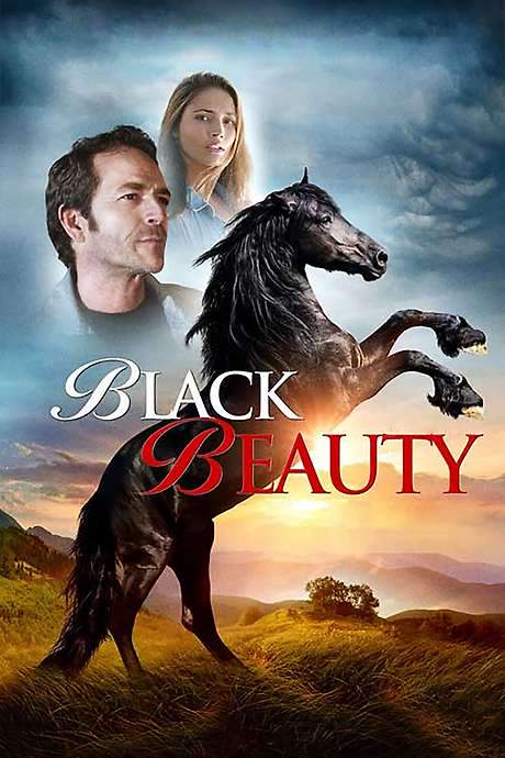 Black Beauty (2015) movie poster