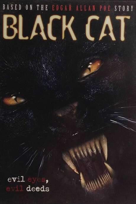 Black Cat (2004) movie poster