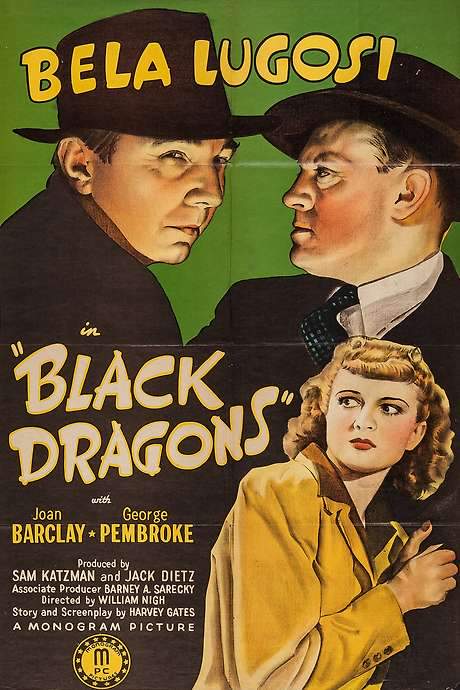 Black Dragons (1942) movie poster