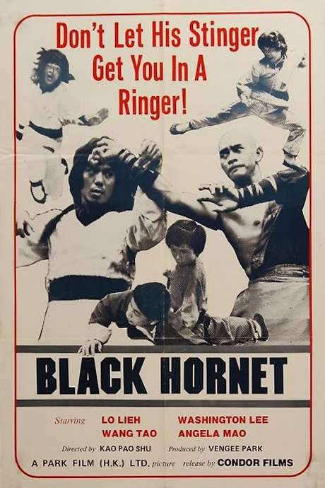 Black Hornet (1977) movie poster