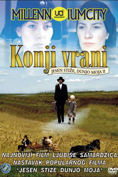 Black Horses (2007) movie poster
