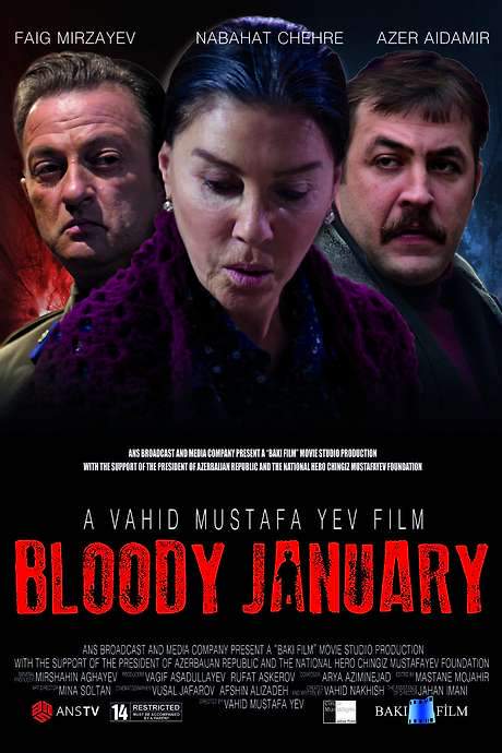 Black January (2015) movie poster