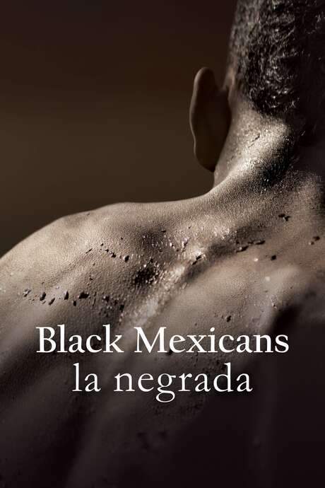 Black Mexicans (2018) movie poster