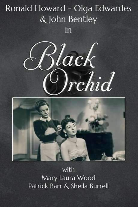 Black Orchid (1953) movie poster
