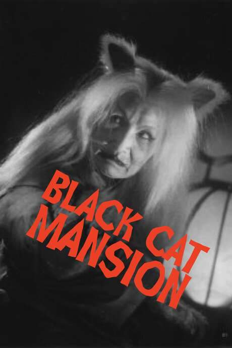 Black Cat Mansion (1958) movie poster