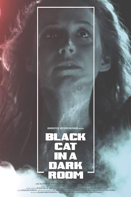 Black Cat in a Dark Room (2019) movie poster