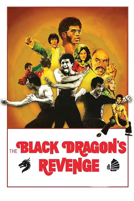 Black Dragon’s Revenge (1975) movie poster