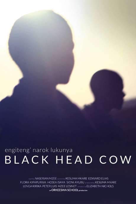Black Head Cow (2017) movie poster