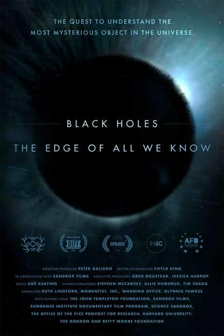 Black Holes: The Edge of All We Know (2020) movie poster