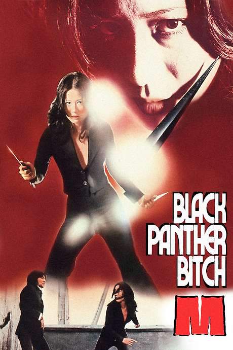 Black Panther Bitch M (1974) movie poster