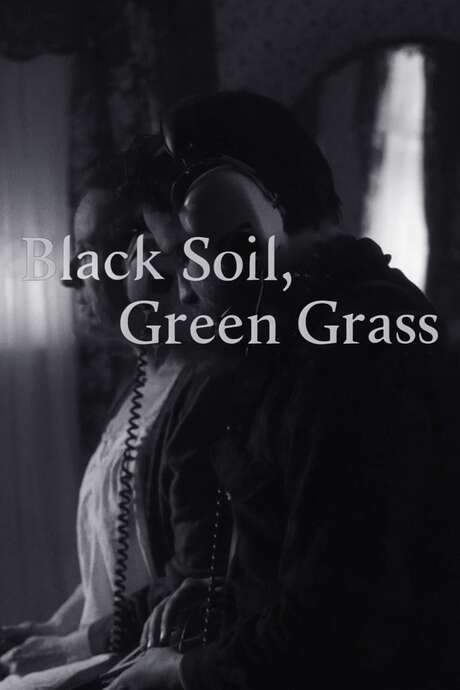 Black Soil, Green Grass (2016) movie poster
