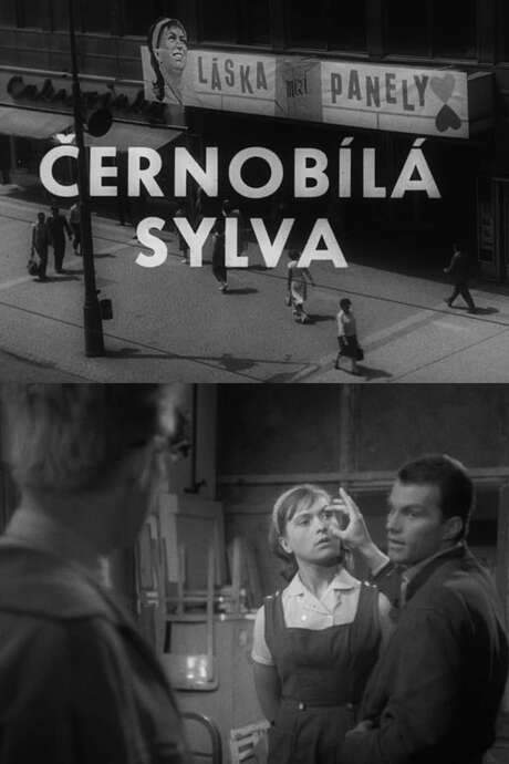 Black and White Sylva (1962) movie poster