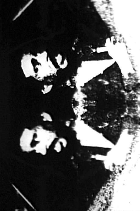 Black and White Trypps Number Four (2008) movie poster