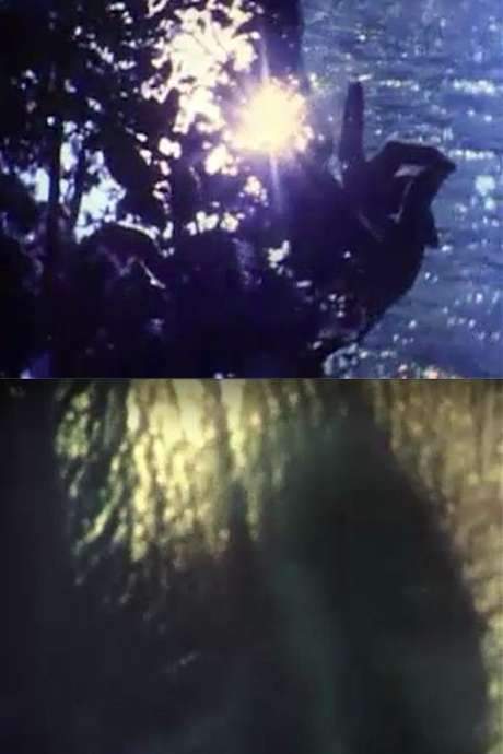    An 8mm short film directed by Marc Hurtado.  