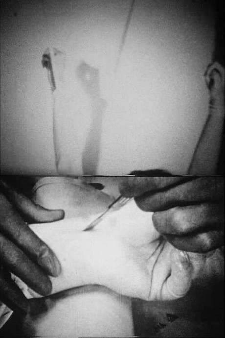 “Sometimes I ask myself what KIND of films I make + and I think they are horror films. Do I make horror films?”