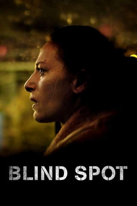 Blind Spot (2018) movie poster