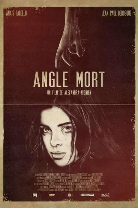 Blind Spot (2021) movie poster