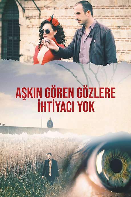 Blind in Love (2017) movie poster