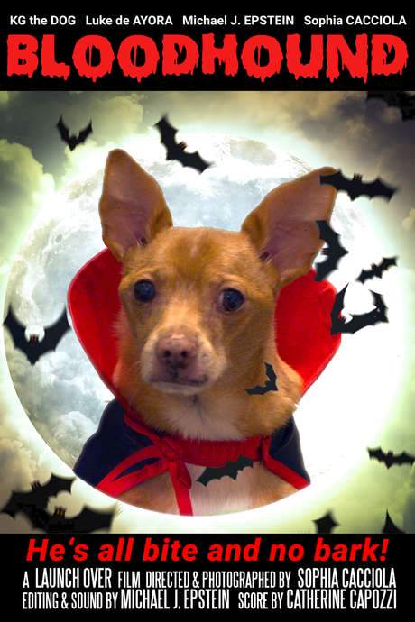 He’s all bite and no bark!