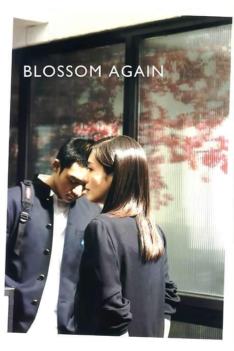 Blossom Again (2005) movie poster