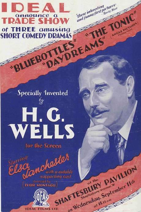 Blue Bottles (1928) movie poster