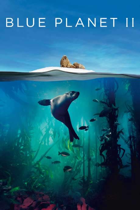 Blue Planet II (2017) movie poster