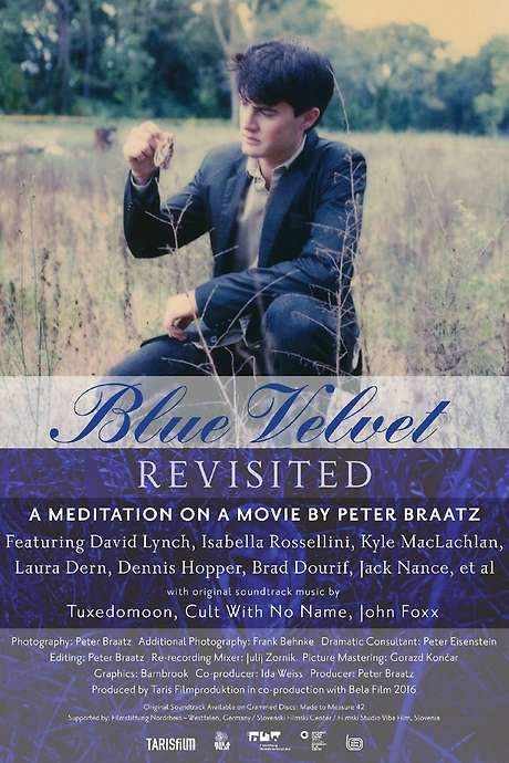 Blue Velvet Revisited (2016) movie poster