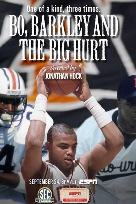 Bo, Barkley and the Big Hurt (2014) movie poster