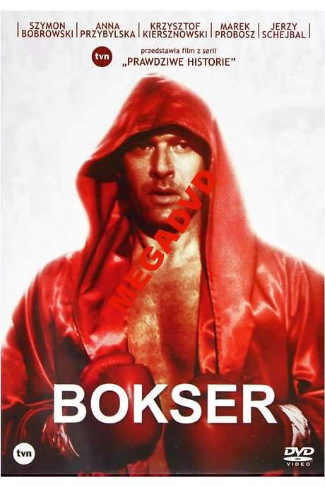 Bokser