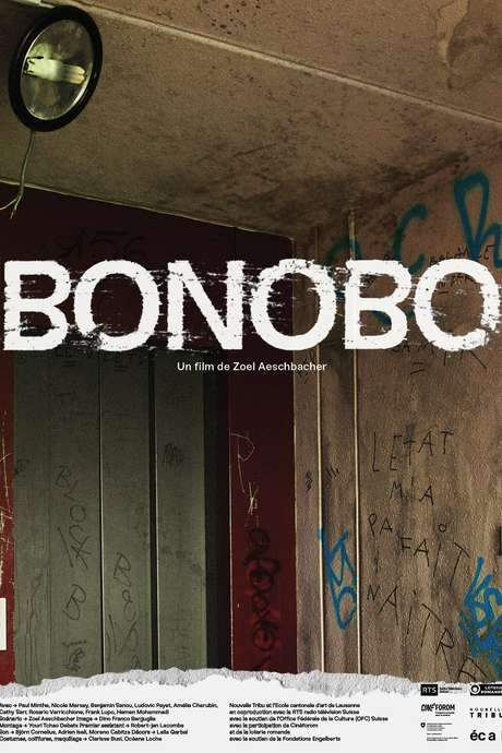 Bonobo