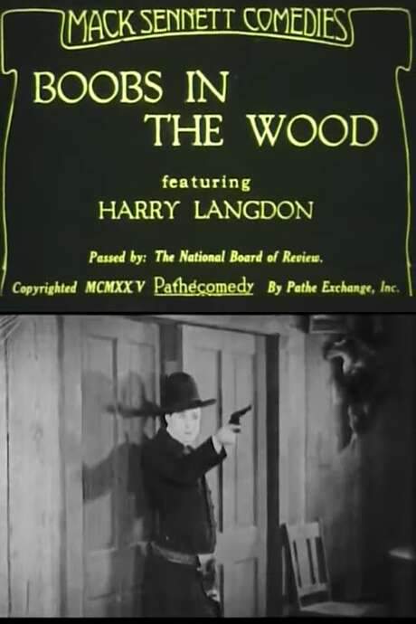 Boobs in the Wood (1925) movie poster