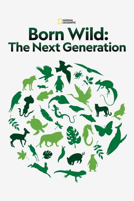 Born Wild: The Next Generation (2020) movie poster