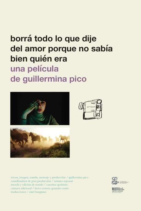 Borrá todo lo que dije del amor porque no sabía bien quién era (2016) movie poster