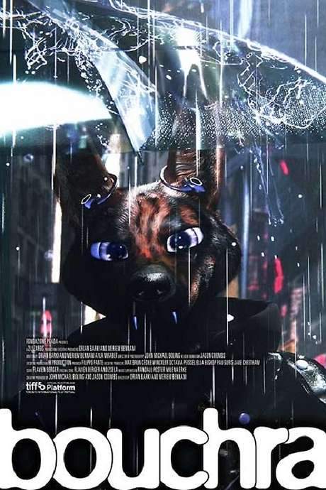 Bouchra