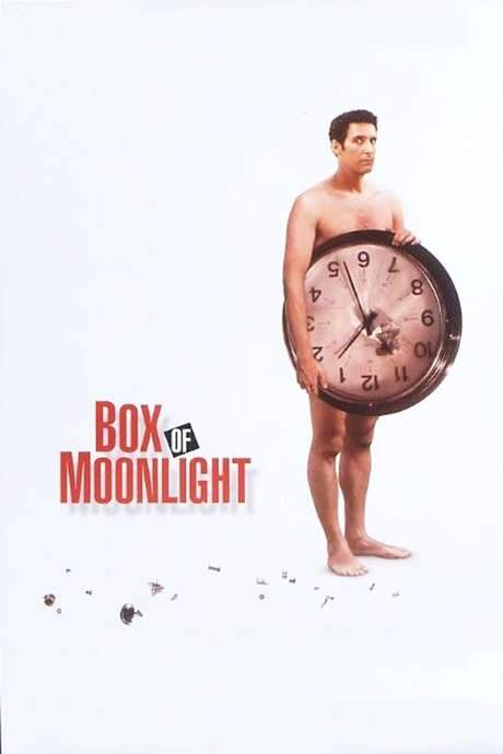 Box of Moonlight (1996) movie poster