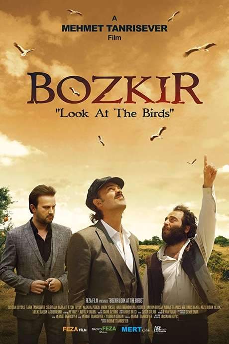 Bozkir “Look at the Birds” (2019) movie poster