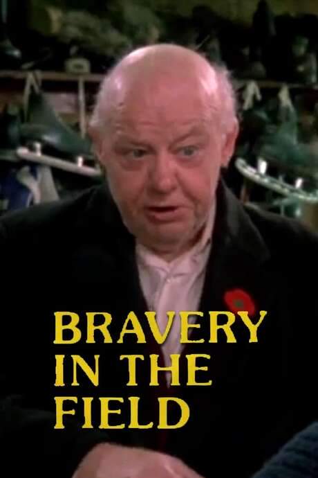 Bravery in the Field (1980) movie poster