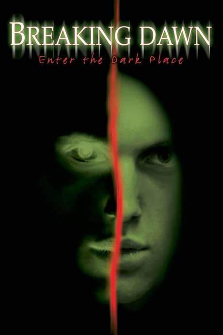 Breaking Dawn (2004) movie poster