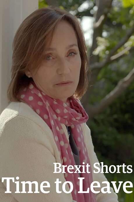 Brexit Shorts: Time to Leave (2017) movie poster