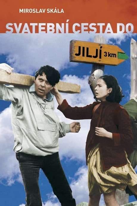 Bridal Tour to Jilji (1984) movie poster