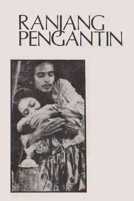 Bridegroom’s Bed (1974) movie poster