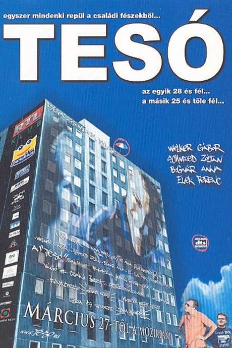 Bro’ (2003) movie poster