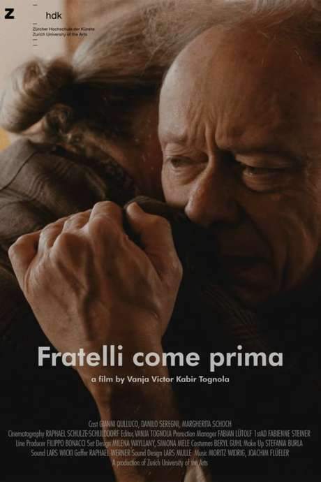 Brothers Again (2019) movie poster