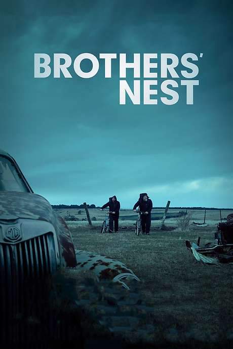 Brothers’ Nest (2018) movie poster