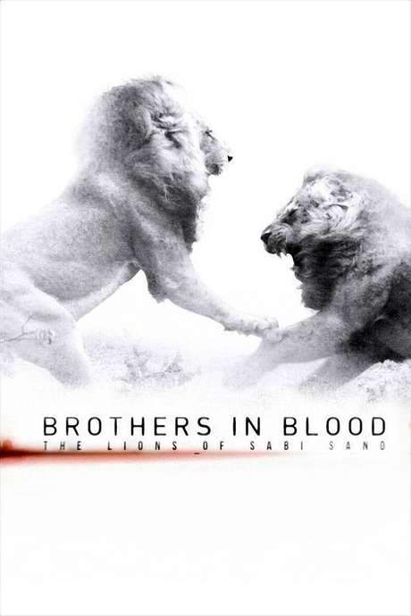 Brothers in Blood: The Lions of Sabi Sand (2015) movie poster